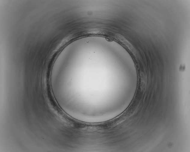 X0000097640482200803142050