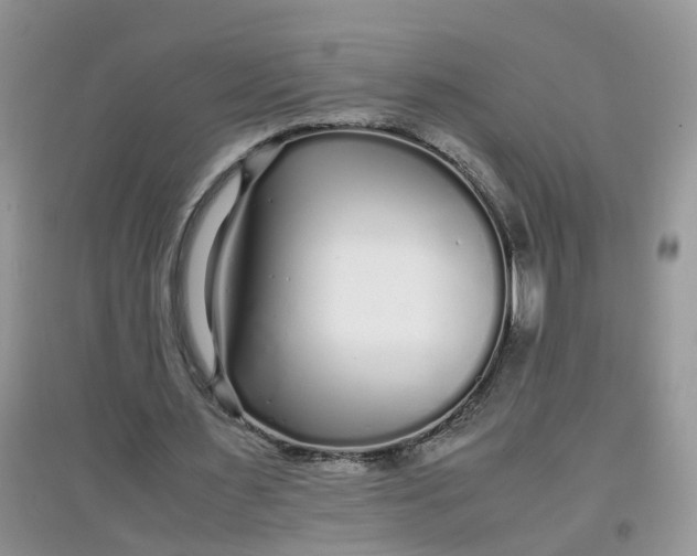 X0000097640483200803142050