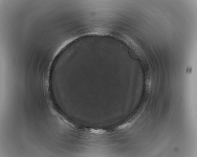 X0000097640484200803142050