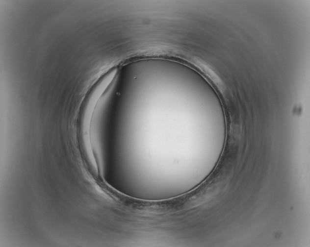 X0000097640485200803142050