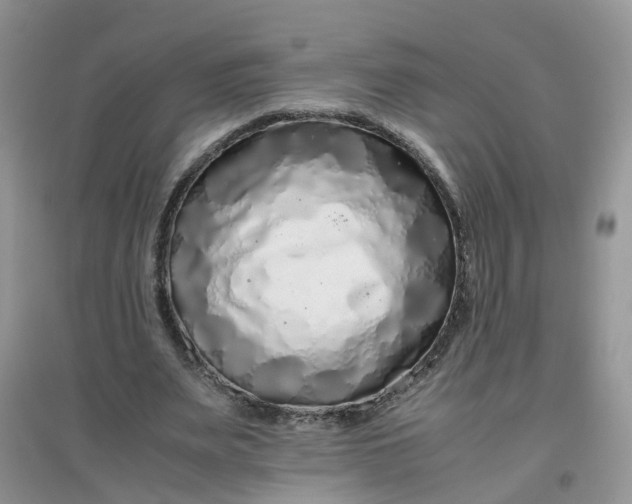 X0000097640487200803142050