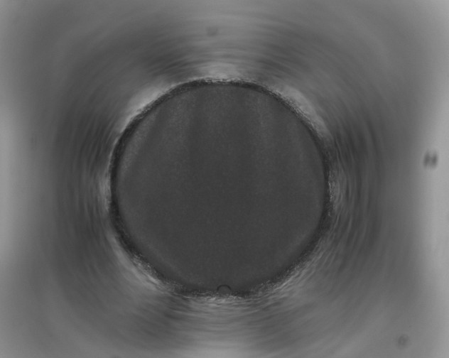 X0000097640488200803142050