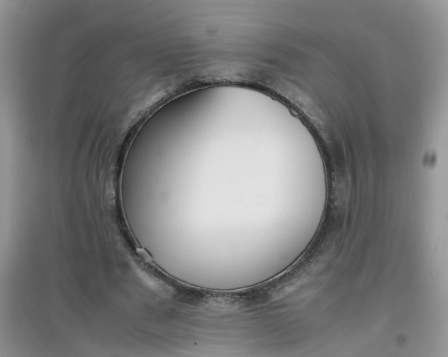 X0000097640489200803142050