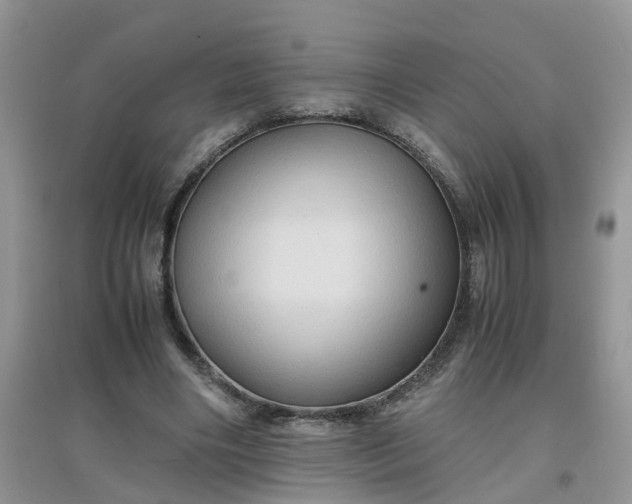 X0000097640490200803142050