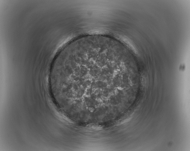 X0000097640491200803142050