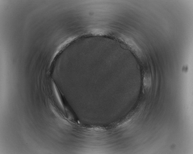 X0000097640492200803142050