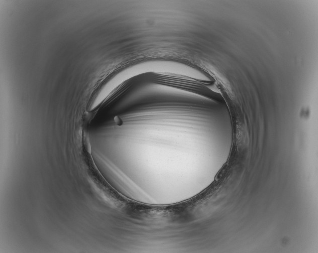 X0000097640493200803142050