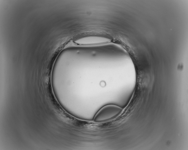 X0000097640495200803142050