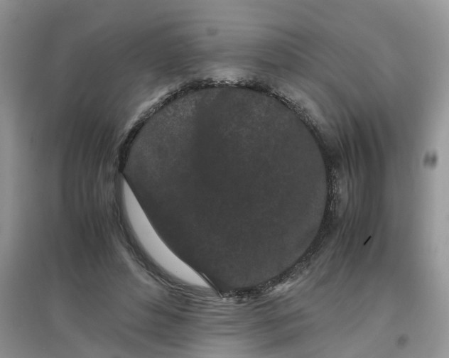 X0000097640496200803142050