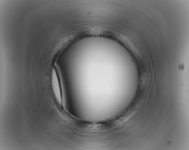 X0000097640497200803142050