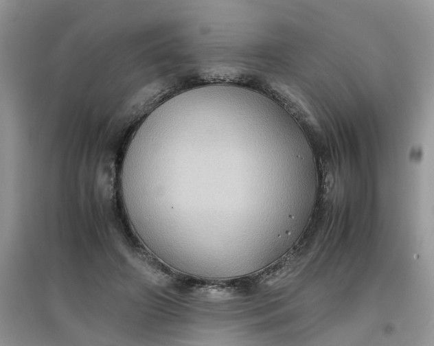 X0000097640498200803142050