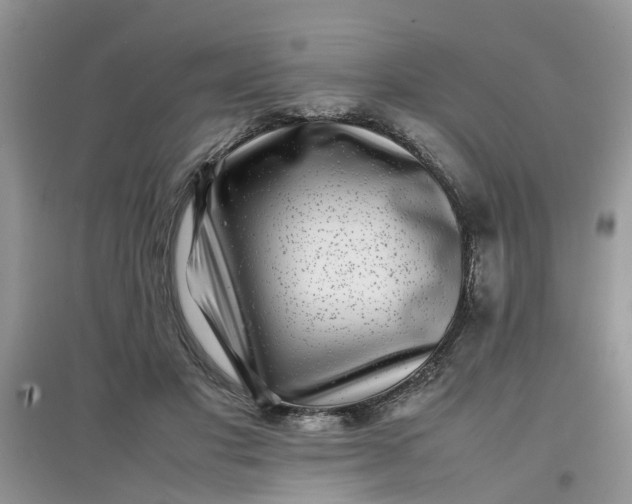 X0000097640501200803142050