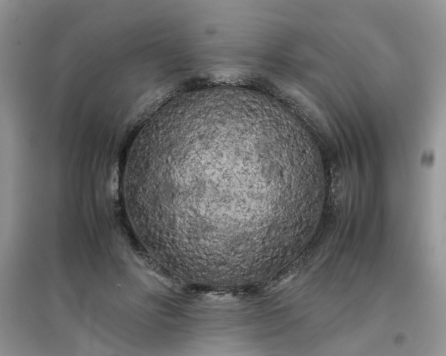 X0000097640502200803142050