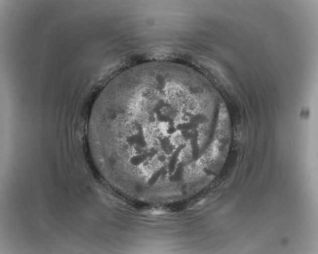 X0000097640503200803142050