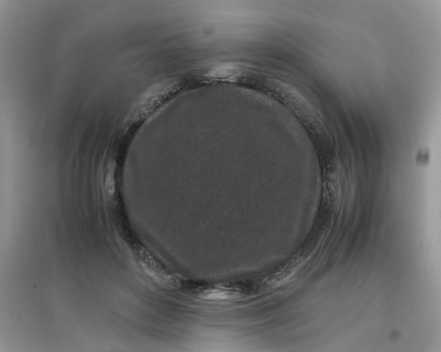 X0000097640504200803142050