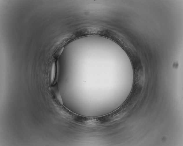 X0000097640505200803142050