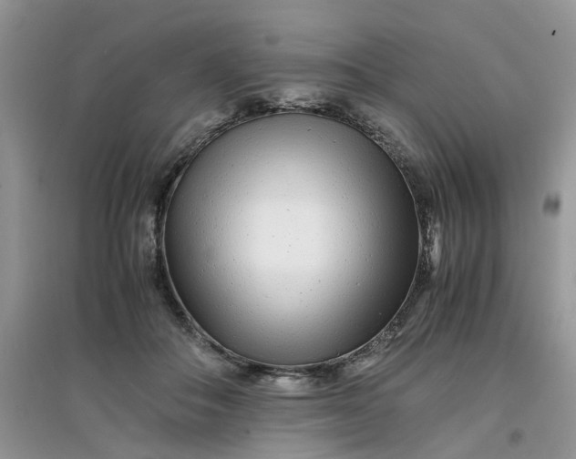 X0000097640506200803142050