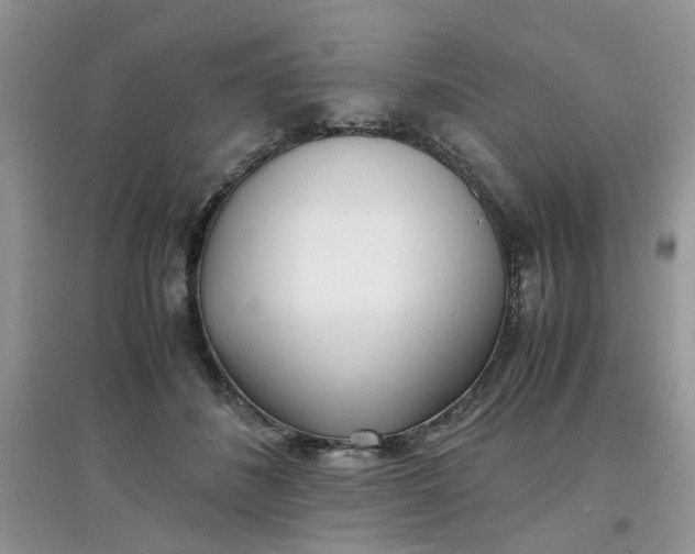 X0000097640508200803142050