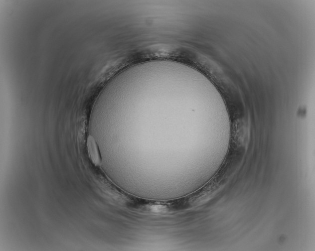 X0000097640509200803142050