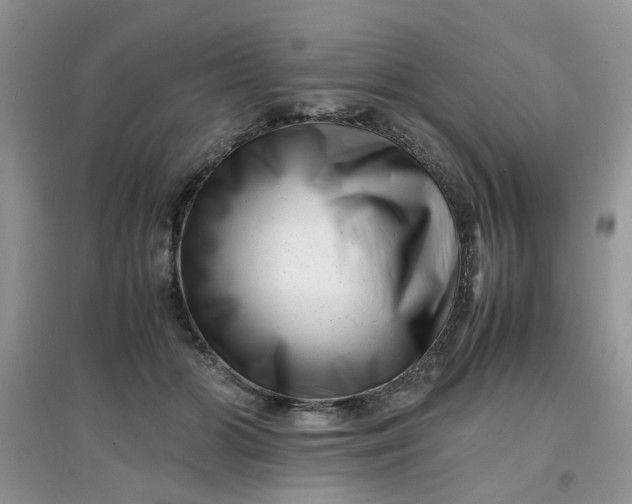 X0000097640510200803142050