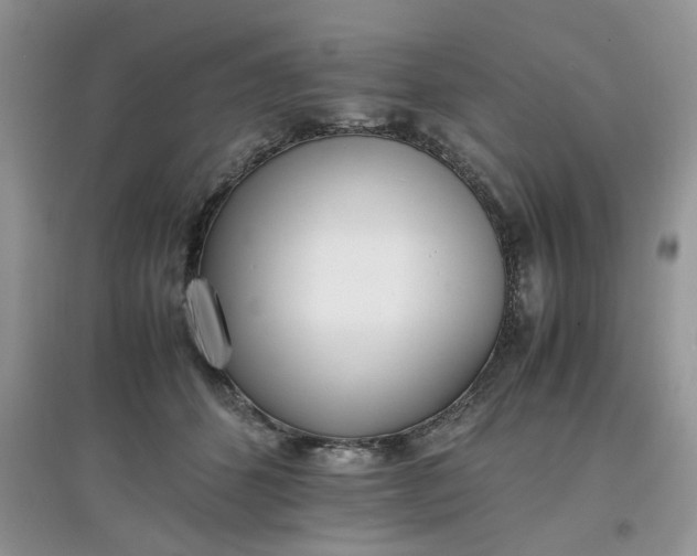 X0000097640512200803142050