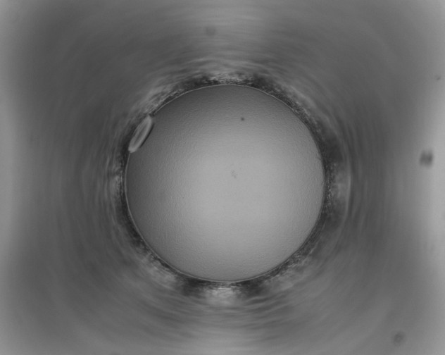 X0000097640513200803142050