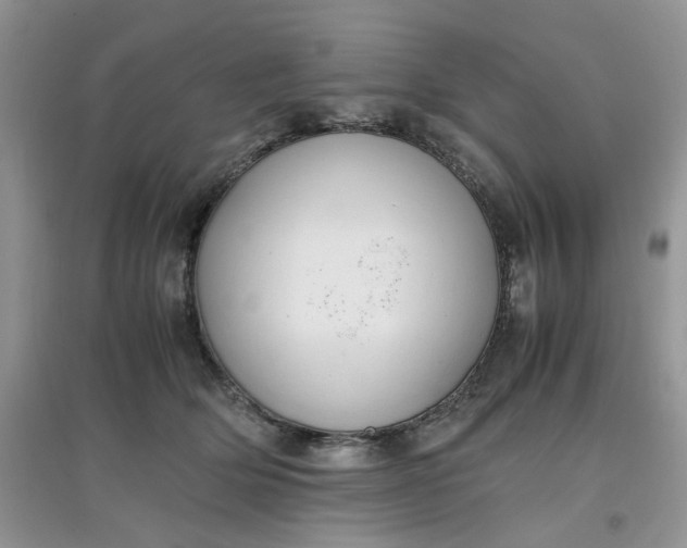 X0000097640514200803142050