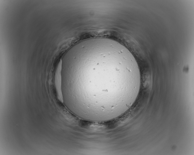 X0000097640515200803142050