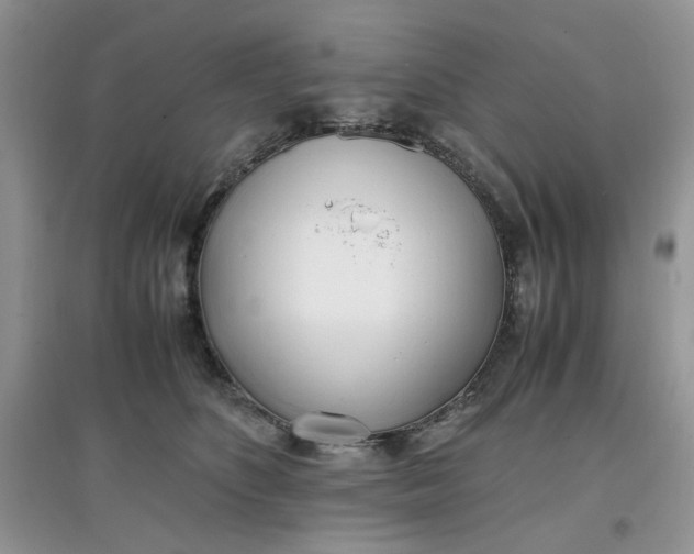 X0000097640516200803142050