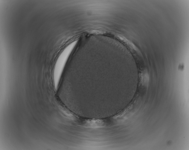 X0000097640517200803142049