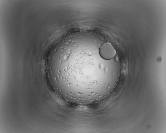 X0000097640519200803142049