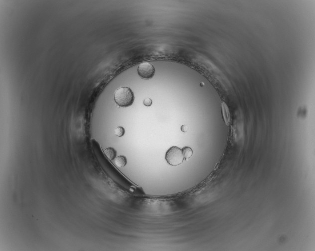 X0000097640520200803142049