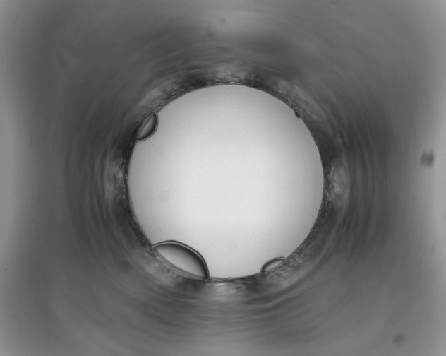 X0000097640522200803142049