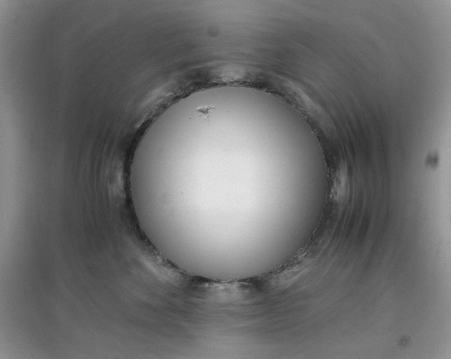 X0000097640524200803142049