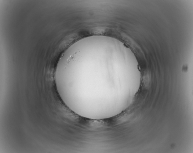 X0000097640525200803142049