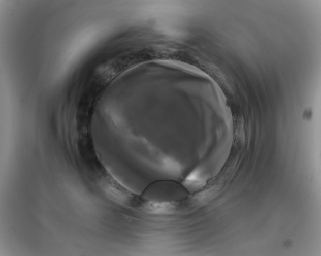 X0000097640526200803142049