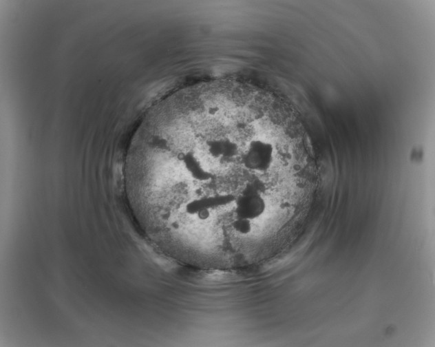 X0000097640527200803142049