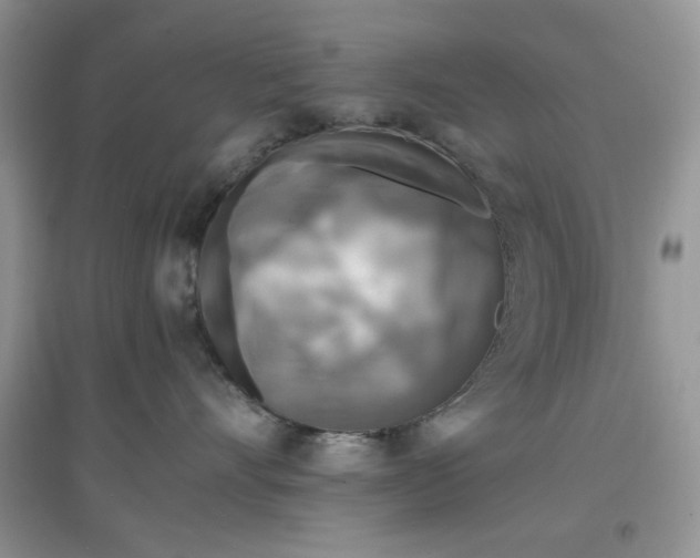 X0000097640528200803142049