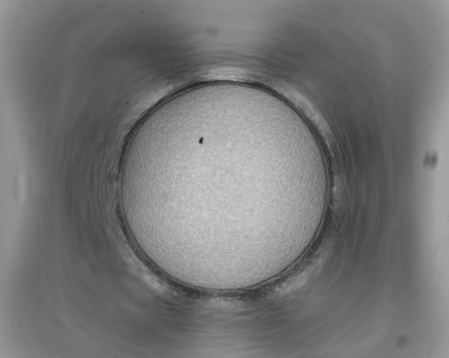 X0000097640529200803142049