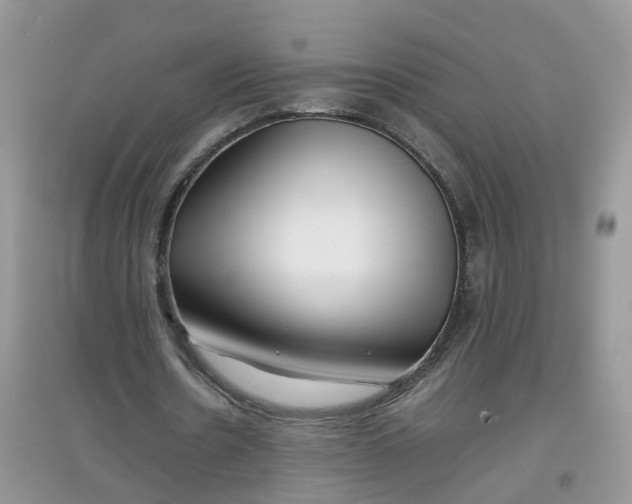 X0000097640530200803142049