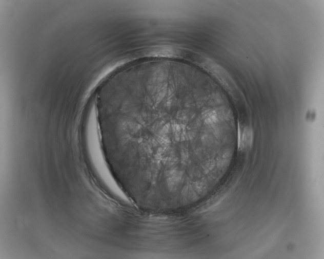 X0000097640531200803142049