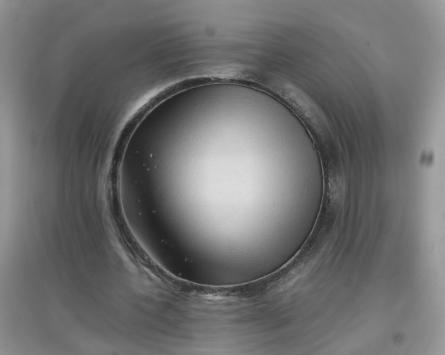 X0000097640532200803142049