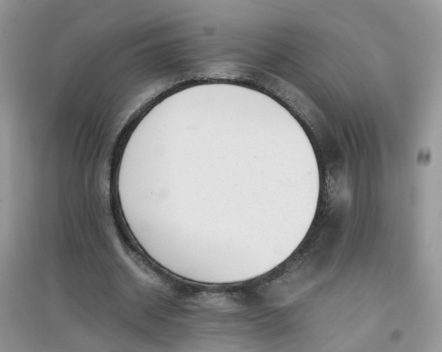 X0000097640534200803142049