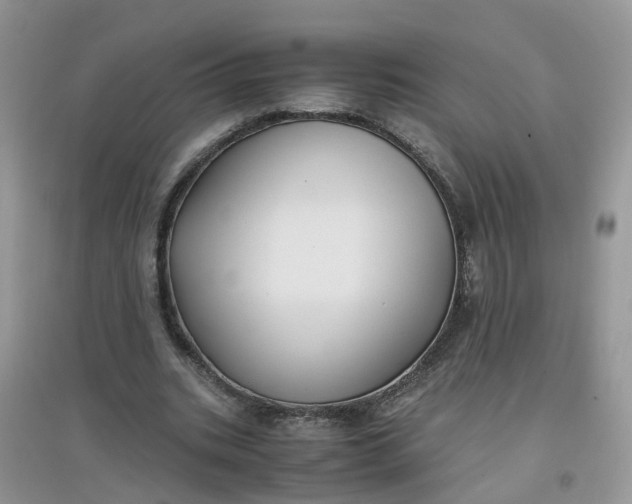 X0000097640535200803142049