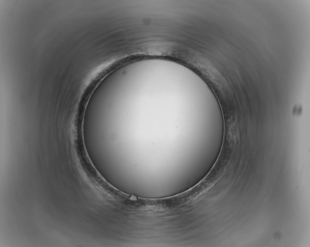 X0000097640536200803142049