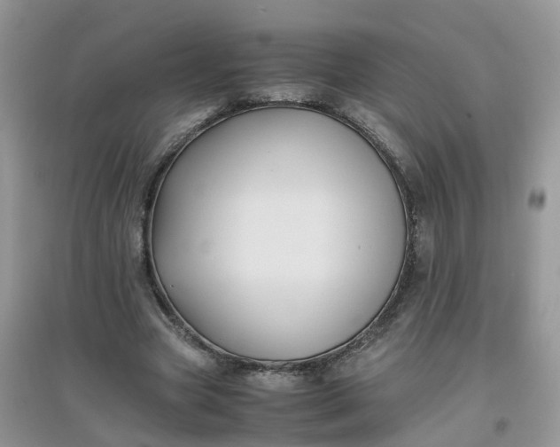 X0000097640537200803142049