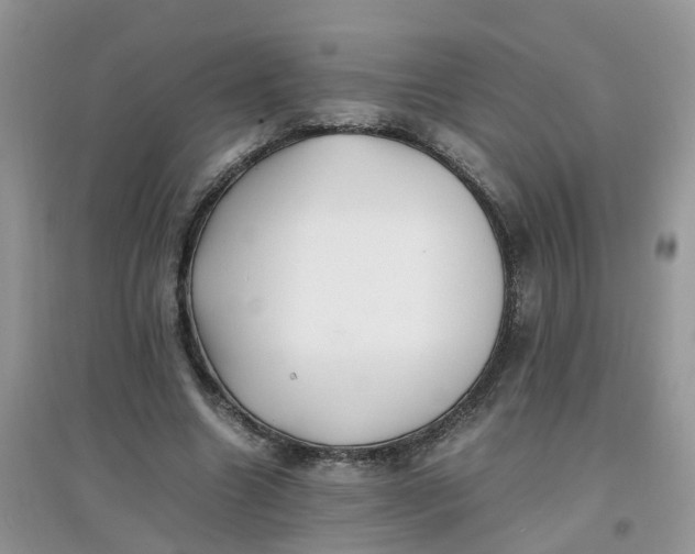 X0000097640538200803142049