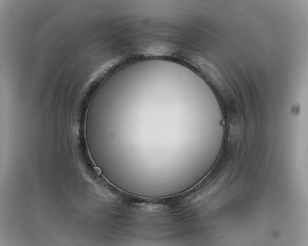 X0000097640539200803142049