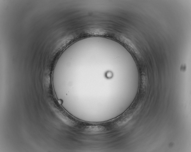 X0000097640541200803142049