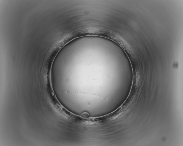 X0000097640542200803142049